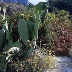 Panoramic On Of Capo Falcone Villa *