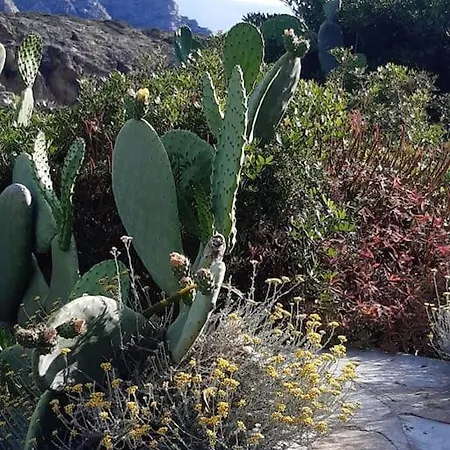 Panoramic On Of Capo Falcone ヴィラ *