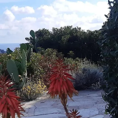 Panoramic On Of Capo Falcone Villa