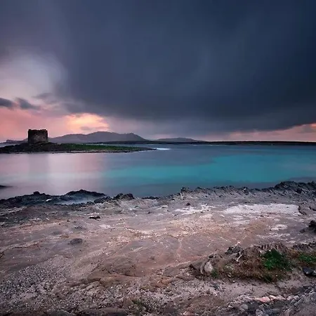 Panoramic On Of Capo Falcone ヴィラ スティンティーノ