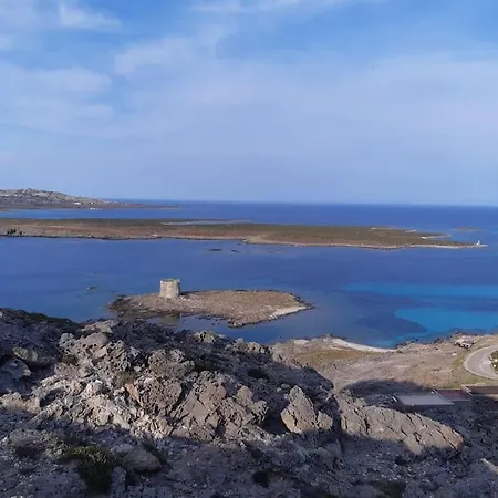 Panoramic On Of Capo Falcone Stintino