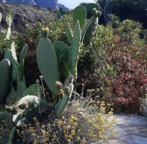 Panoramic On Of Capo Falcone 别墅 *