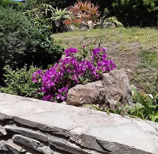 Panoramic On Of Capo Falcone