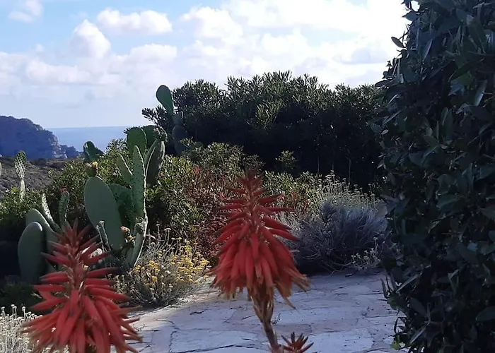 Panoramic On Of Capo Falcone 别墅